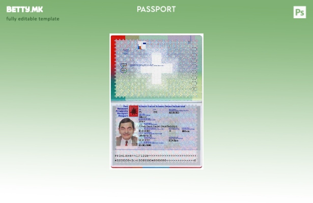 Шаблон за пасош на Швајцарија во модерен стил